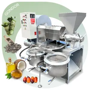 Twin Screw Cold Industry Maize Neem Press Peanut Sesame Palm Coconut Large Oil Machine High Capacity Ghana