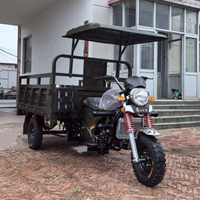 Vente directe d'usine Moto 3 roues avec moteur haute capacité Tricycle cargo essence haute capacité Tricycle essence