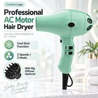 Sèche-cheveux professionnel à moteur AC, 2 vitesses, 3 températures, fonction air froid, deux concentrateurs, grand diffuseur en option pour coiffure en salon