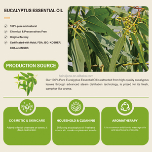 Aceite Esencial de <span class=keywords><strong>Eucalipto</strong></span> 100% Orgánico al por Mayor para Jabón, Fragancia, Pasta de Dientes, Masaje Tailandés y Aditivos Alimentarios - Product Image 3