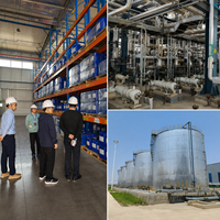 Cyclopentane industriel CAS 287-92-3, agent de gonflage pour la production de mousse PU, isolation, matériaux de réfrigération, fournisseur