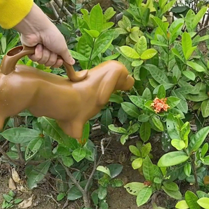 High Quality Easy To Clean Flower Planting Plastic Watering Can indoor watering can