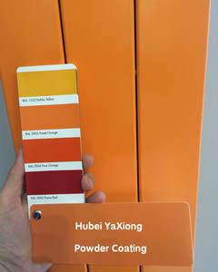 Recubrimiento en Polvo Decorativo RAL 2003 <span class=keywords><strong>Color</strong></span> Naranja <span class=keywords><strong>Pastel</strong></span> para Cubo de Acero Inoxidable - Product Image 1