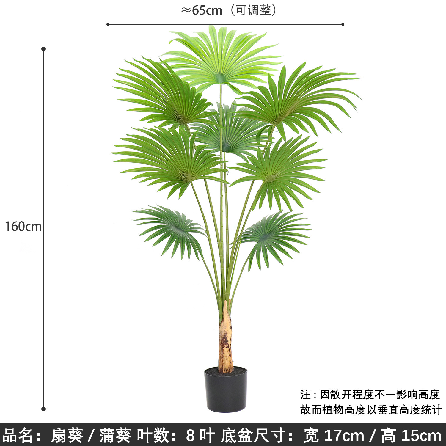 160 cm éventail kui