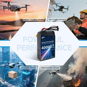 신기술 10S 40000mah 340Wh/kg 10C 고에너지 고밀도 고체 배터리 - Product Image 3