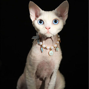 Nuevo <span class=keywords><strong>Collar</strong></span> Elegante Ajustable de Plástico con Estampado, Adornado con Pedrería, para Cachorros y Gatos, con Bonito Lazo y Colgante de Perlas para Mascotas - Product Image 6
