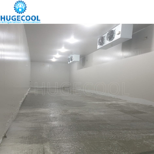 Hugecool Đi Bộ Trong Tủ Đông Lạnh Lưu Trữ Phòng Cho Thịt Cá Rau Trái Cây - Product Image 2