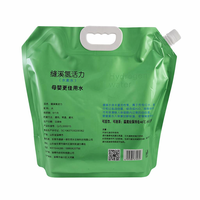 Sachets Doypack Personnalisés Imprimés, Imperméables, Thermoscellables pour Lessive, en PET/NY/PE, Impression Gravure
