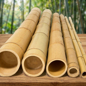 Precio Económico para Varas de Bambú Naturales, Huecas y Crudas al 100% para Construcción, con 5 Años de Vida Útil, de Eco2go Vietnam - Product Image 1