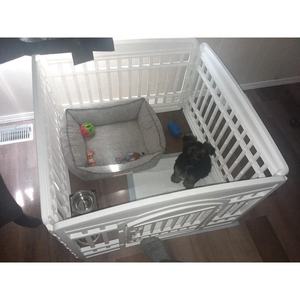 Toptan özel egzersiz için Pet yatak ile evcil hayvan oyun parkı dekoratif köpek çit kulübesi küçük köpekler için kafesleri köpekler - Product Image 2