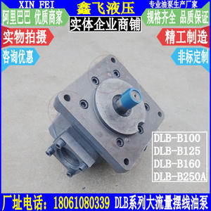 DLB-B100ปั๊มน้ำมันเกียร์แบบ cyclidal อัตราการไหลสูง DLB-B125 DLB-B250 DLB-B160สำหรับการใช้งานระบบไฮดรอลิกส์ - Product Image 1