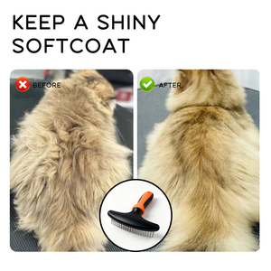 Peigne démêlant pour chien, râteau simple rangée en acier inoxydable TPR, portable, pratique, facile à utiliser et sûr - Product Image 6