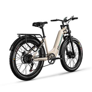 Bicicleta de Montaña S700 OEM ODM de 48v 1000W*2 con Doble Motor para Adultos, 7 Velocidades, con Frenos de Aceite para Ciudad y Nieve - Product Image 3
