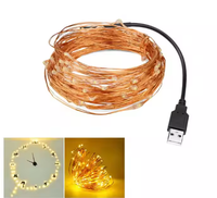 Guirlande lumineuse alimentée par USB lumière blanche chaude décorative intérieure 1M 5m10m 100 Led fil de cuivre LED guirlandes lumineuses
