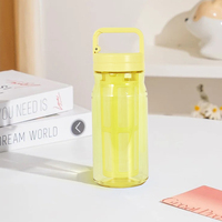 Bouteille d'infuseur réutilisable en plastique de nouvel article avec le long filtre pour le thé, fruit