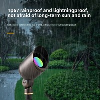 Projecteur LED en laiton pour aménagement paysager, bronze antique, orientable, IP67, sur piquet, éclairage extérieur pour hôtels