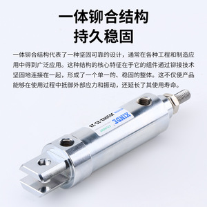 XINDE <b>Miniature</b> Pneumatic Cylinder J01002-20-23 Stainless Steel Thread Connection General Type - Product Image 3