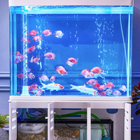 Aquarium de poissons personnalisé, bassin de poissons en acrylique, grand, 200 gallons, à usage domestique, vente directe depuis l'usine