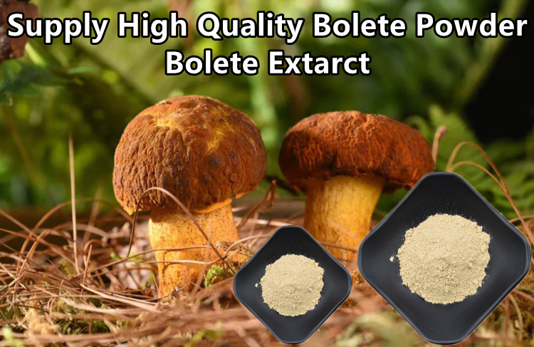 Natural Penny Bun Porcini Mushroom Extract Pure Boletus Powder  99% 0