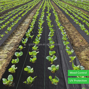 Toile de paillage professionnelle perméable pour un drainage efficace et une protection des racines – Couverture de sol - Product Image 5