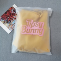 Sacs en plastique transparents refermables avec logo imprimé, antistatiques et réutilisables pour vêtements personnalisés, sweats à capuche, t-shirts et pantalons