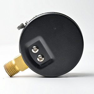 เกจวัดแรงดัน Dongya Instrument Y-60 แบบเรเดียล 1.6MPa - Product Image 3
