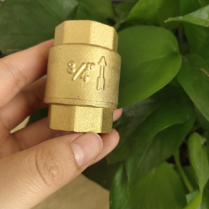 Chất lượng cao 1/2-4 inch Hướng dẫn sử dụng kiểm tra van cw617n nước dọc nhỏ mùa xuân nắp đồng đồng thau vật liệu bình thường - Product Image 5