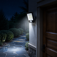 Reflector LED de 30W para Exteriores con Sensor OUTLUX E046, Ligero, IP65, Certificado RoHS, 3 Años de Garantía, para Iluminación de Jardín y Paisaje