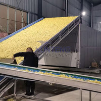 Machine automatique de séchage de tranches de pommes de terre, ligne de production de chips de patate douce séchées, ligne de production de nettoyage, de découpe et de séchage de pommes de terre