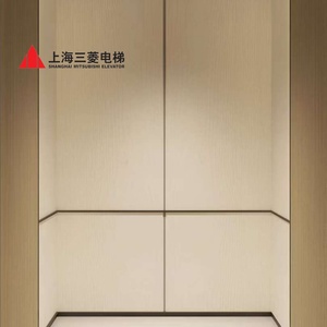 Ascensor Residencial Personal sin Engranajes Hidráulicos de Mitsubishi para 6 Personas, para Viviendas, Hoteles y Apartamentos - Product Image 3