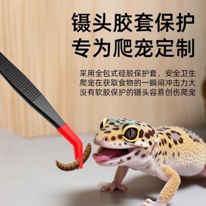 Baolian Feeding Tweezers Stainless Steel Non Slip Straight Head Reptile Specific Tool - Product Image 5