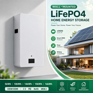 Shinel Long Life 51.2V <b>Wall</b>-Mounted LiFePO4 Battery 200Ah/300Ah IP66 Protection Hybrid <b>Grid</b> Solar Energy Storage System - Product Image 1