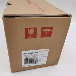 DBC2000E1018 Combustion Controller Ignition Controller for Spot 20 - Product Image 2