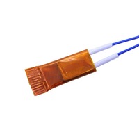 Mini-chauffage en céramique OEM, puce chauffante en aluminium isolée au polyimide, 110V-220V, garantie 1 an, équipement de beauté et médical