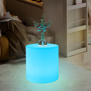 Table et chaise lumineuses à atmosphère minimaliste de style européen Taille de 16 pouces pouvant être utilisée à la fois pour la table et la chaise - Product Image 2