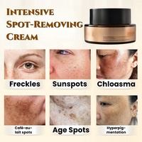 Crème Correctrice Anti-Taches Pigmentaires OEM pour le Visage, Éliminateur de Mélasma, Soin de la Peau Noire, Crème Éclaircissante Anti-Taches Noires