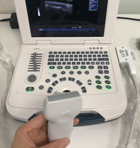 Équipement médical vétérinaire OSCAT, appareil MU10, <span class=keywords><strong>échographie</strong></span> vétérinaire portable |   8 heures en veille, multilingue, prise en charge des rapports OB - Product Image 5