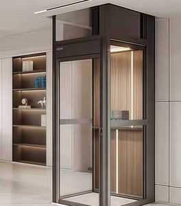 Thang máy biệt thự nhà ở thang máy thang máy gia đình - Product Image 6