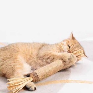 Büyük boy doğal kedi çiğnemek sopa kedi diş temizleme Silvervine oyuncaklar büyük Matatabi kedi için sopa - Product Image 2