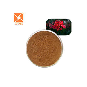 ผงสกัดลิโคริส ราเดียต้า บริสุทธิ์จากธรรมชาติ 10:1 / สารสกัดจากดอกลิโคริส ราเดียต้า - Product Image 2