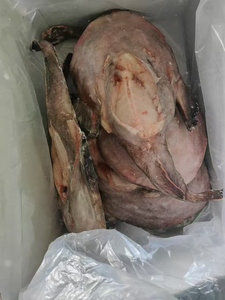 Giá tốt chất lượng cao monkfish WR - Product Image 3