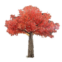 Arbre d'érable artificiel en fibre de verre de 5 m, fait main, pour Noël, Nouvel An, Pâques, décoration intérieure/extérieure, remise de diplôme, écologique et durable