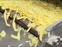 Machine à frites électrique entièrement automatique à l'état neuf avec friteuse pour les lignes de transformation des aliments