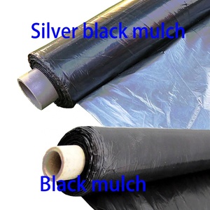 Usine <span class=keywords><strong>d</strong></span>'approvisionnement direct Couvre-sol en plastique noir <span class=keywords><strong>argent</strong></span>é <span class=keywords><strong>Prix</strong></span> Film de paillis agricole - Product Image 4