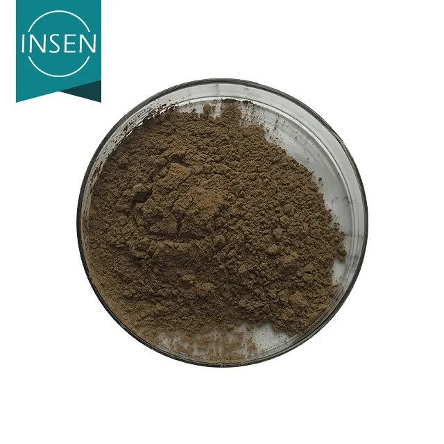 Insen Supply 100% Natural Ginkgo Biloba Leaf Extract Powder