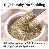 HS OEM/ODM Gel Platine Scintillant Haute Densité 5g Sans HEMA TPO MEHQ UV LED Super Brillant pour Dessin de Lignes et Effet Éclat Platine