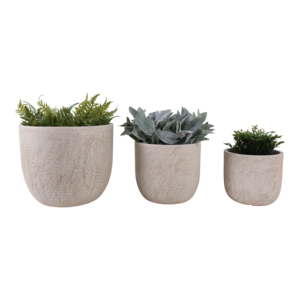 Vasi Minimalisti per Piante da Interno ed Esterno, per Succulente e Orchidee, Decorazione Casa con Stile Elevato - Product Image 2