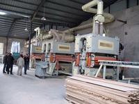Machine à poncer le bois, double face, haute résistance, machine d'étalonnage des panneaux de contreplaqué, machines pour le travail du bois