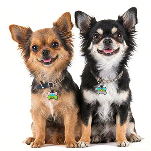 Etiquettes personnalisées pour animaux de compagnie, lettres colorées, rondes, silencieuses, en silicone, anti-perte, étanches, forme d'os, pour chiens - Product Image 3