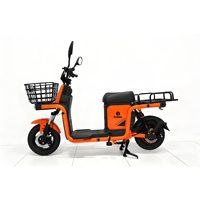 Motocicleta Eléctrica de Reparto de 1000W, Batería de Plomo-Ácido de 60V, E-bike con Doble Portaequipajes, Scooter Eléctrico para Reparto a Domicilio